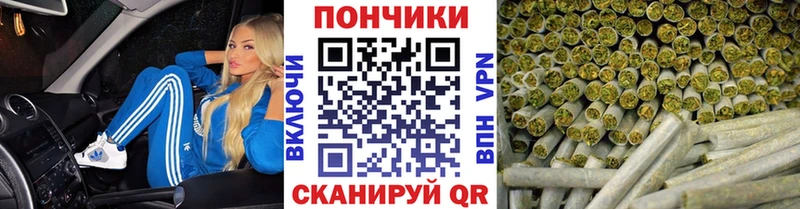 купить наркоту Саяногорск Бошки марихуана сатива